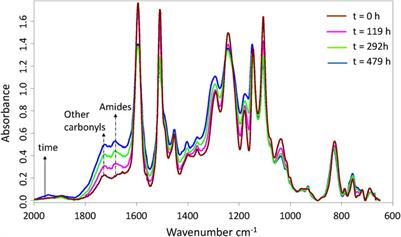New Advances in the Kinetic Modeling of Thermal Oxidation of Epoxy-Diamine Networks